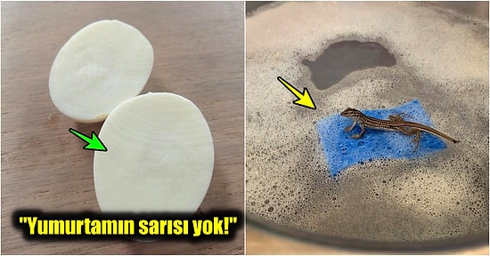 Hayatınız Boyunca Rastlama İhtimalinizin Milyonda Bir Olduğu Hepsi Birbirinden Enteresan 31 Durum