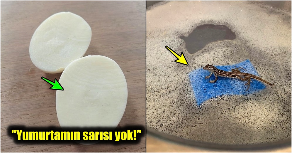 Hayatınız Boyunca Rastlama İhtimalinizin Milyonda Bir Olduğu Hepsi Birbirinden Enteresan 31 Durum