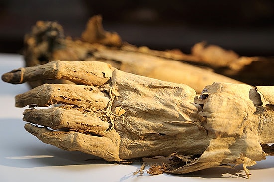 Mısır Değil Anadolu'da Bulundu: Aksaray'ın Bin Yıllık Mumyaları