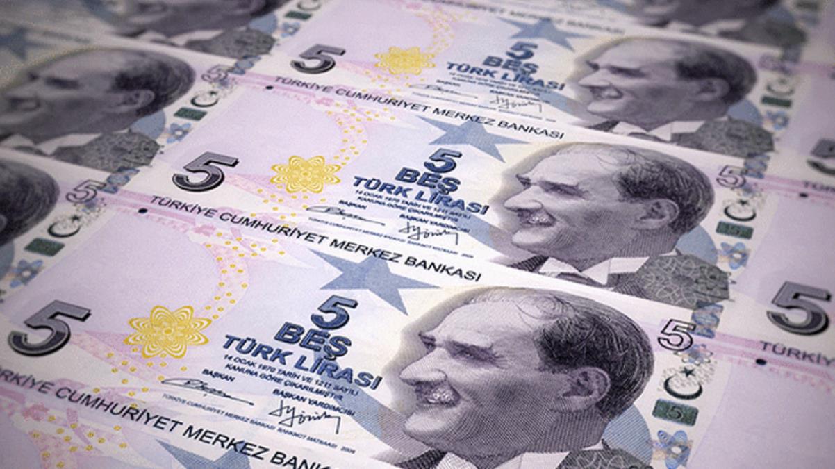 5 TL'lik Yeni Banknotlar Bugün Tedavüle Giriyor: Yeni 5 TL'lik ...