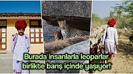 İnsanlarla Vahşi Kedilerin Bir Arada Yaşadığı “Leoparlar Ülkesi”