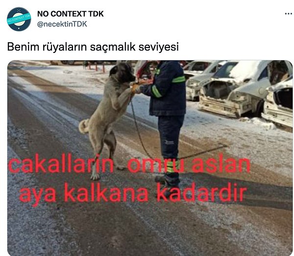 6. Gerçek aslan mı kullansaydı?