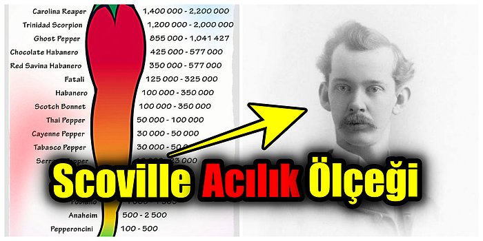 Acılara Yürüyor Korkmuyoruz! Biberlerin Acılık Birimi Olan Scoville Ölçeği Nedir?