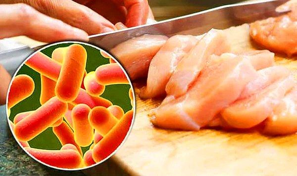 Salmonella Tedavisi Nasıl Yapılır?