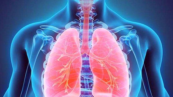 Akciğerin üst bölgelerine yapışmasını ya da filtrelenerek atılmasını beklediklerini söyleyen uzmanlar, bu şaşırtıcı bulgunun mikroplastiğin solunum sağlığı üzerindeki etkileri üzerine yapılan çalışmalarda aydınlatıcı etkisi olacağını ifade ediyor.