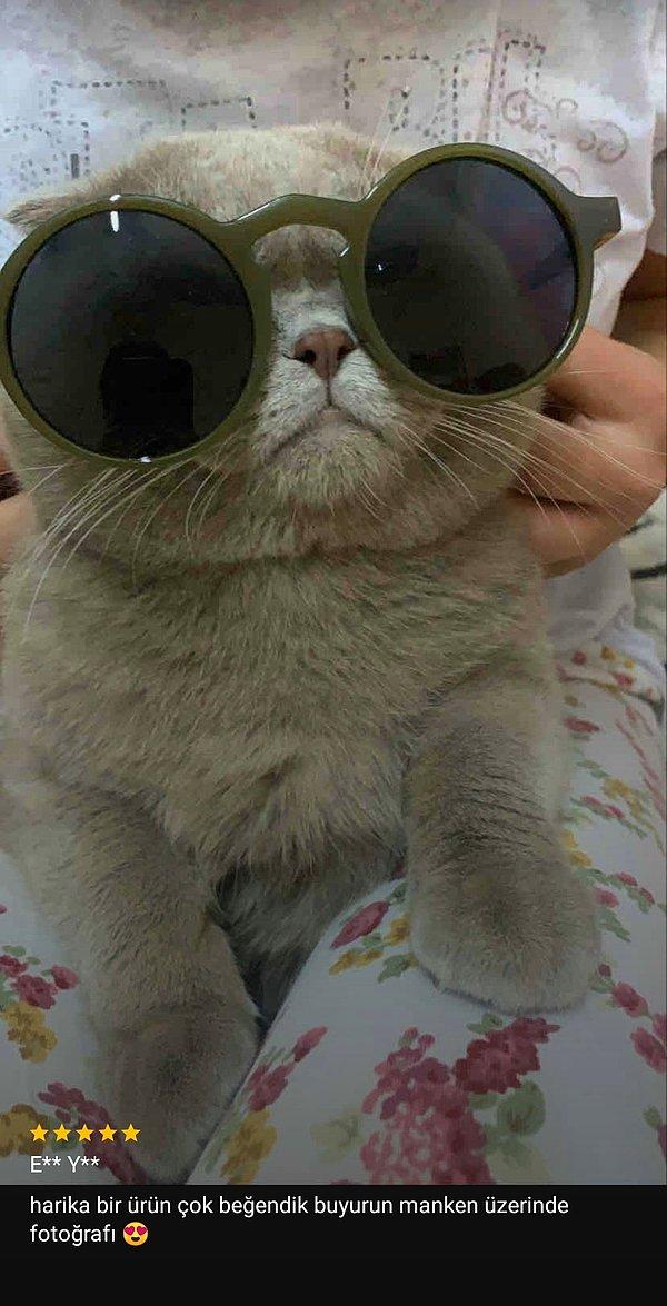 11. Hem kedinize hem de size çok yakışacak gözlük modellerini bir araya getirdik!