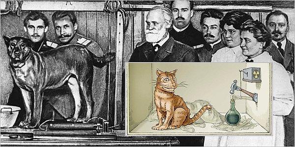 Burçak Yüce Yazio: Pavlov’un Köpeğiyle Schrödinger’in Kedisi Anlaşabilecek mi?