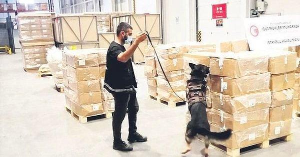 Türkiye'ye gelecek paketler Almanya'da şüpheli olarak tespit edildi