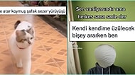 Şafak Sezer Gibi Yürüyen Kediden Üzülmek İçin Bahane Arayanlara Son 24 Saatin Viral Tweetleri