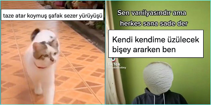 Şafak Sezer Gibi Yürüyen Kediden Üzülmek İçin Bahane Arayanlara Son 24 Saatin Viral Tweetleri