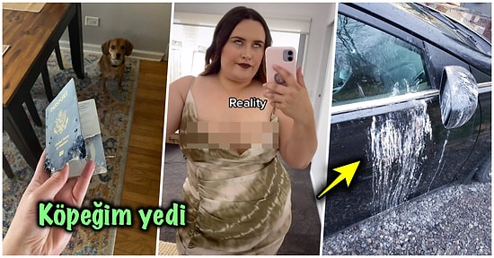 Çöle Düşse Kutup Ayılarıyla Karşılaşıp Birtakım Tatsız Olaylar Yaşayabilecek 15 Bahtsız Kişi