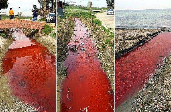 Marmara Denizi'ne dökülen dere, çevredeki sanayi tesislerinin atıkları nedeniyle kırmızı renge büründü.
