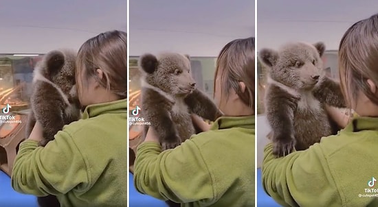 Bakıcısının Kendisini Öpmesi ile Kendinden Geçen Yavru Ayının Sevimlilik Patlaması Yaşadığı Anlar