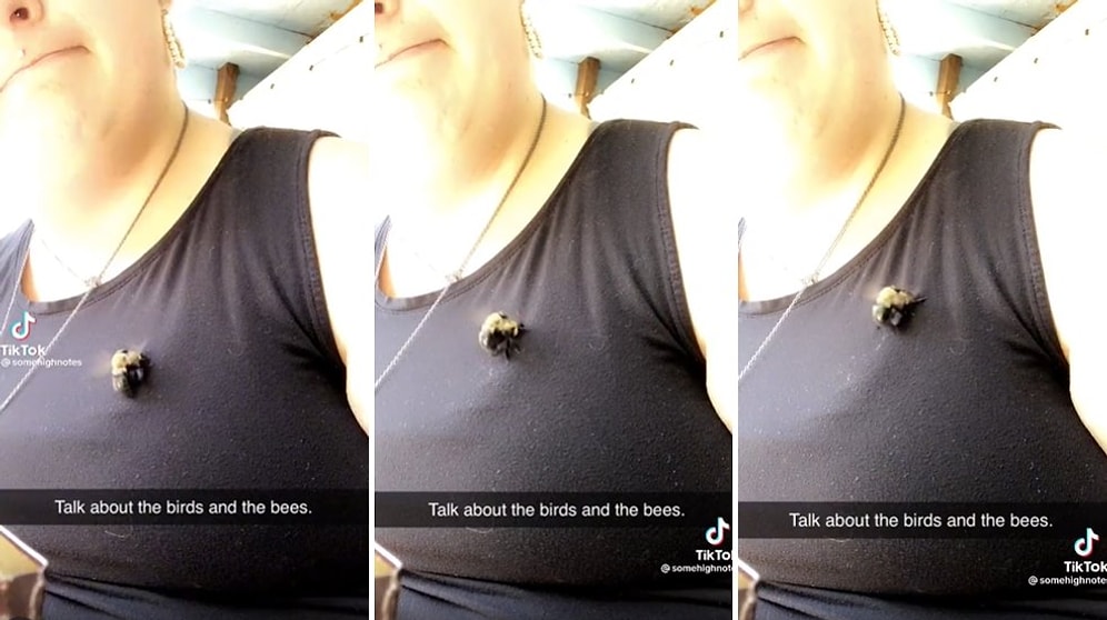 Her Şey Dünya'nın Geleceği İçin: Tişörtünün Üzerinde Çiftleşen Arıları Kaydeden Kadın