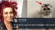 Abla N'aptın Sen? Yıldız Tilbe Kedisinin Tüylerini Boyayınca Hayvanseverler Kıyameti Kopardı