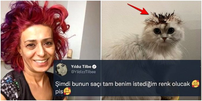 Abla N'aptın Sen? Yıldız Tilbe Kedisinin Tüylerini Boyayınca Hayvanseverler Kıyameti Kopardı