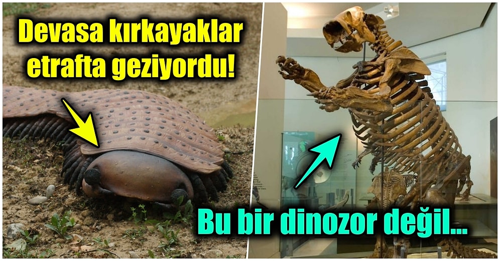 5 Gözlü Balıklar, Devasa Böcekler... İnsanlardan Milyonlarca Yıl Önce Doğada Yaşamış Olan En İlginç Türler