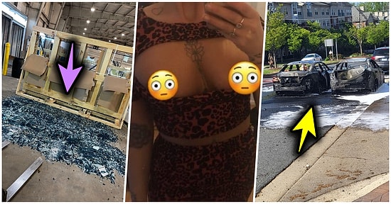 Çöle Düşse Kutup Ayılarıyla Karşılaşıp Birtakım Tatsız Olaylar Yaşayabilecek 15 Bahtsız Kişi