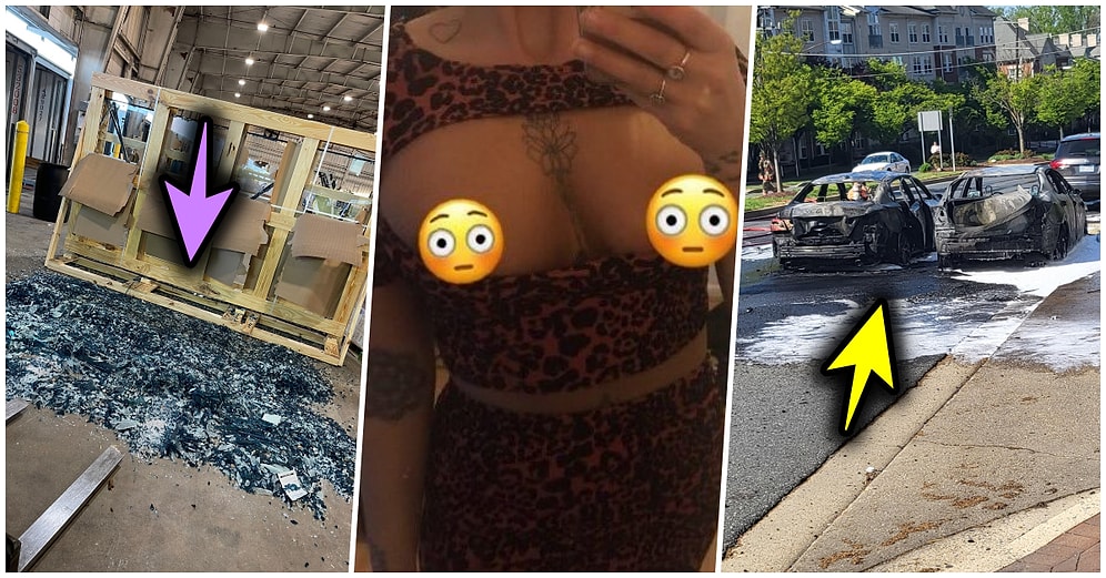 Çöle Düşse Kutup Ayılarıyla Karşılaşıp Birtakım Tatsız Olaylar Yaşayabilecek 15 Bahtsız Kişi