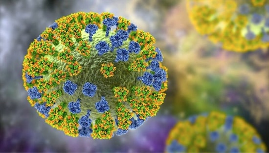 Çin Açıkladı: H3N8 Kuş Gribi İlk Kez Bir İnsanda Tespit Edildi