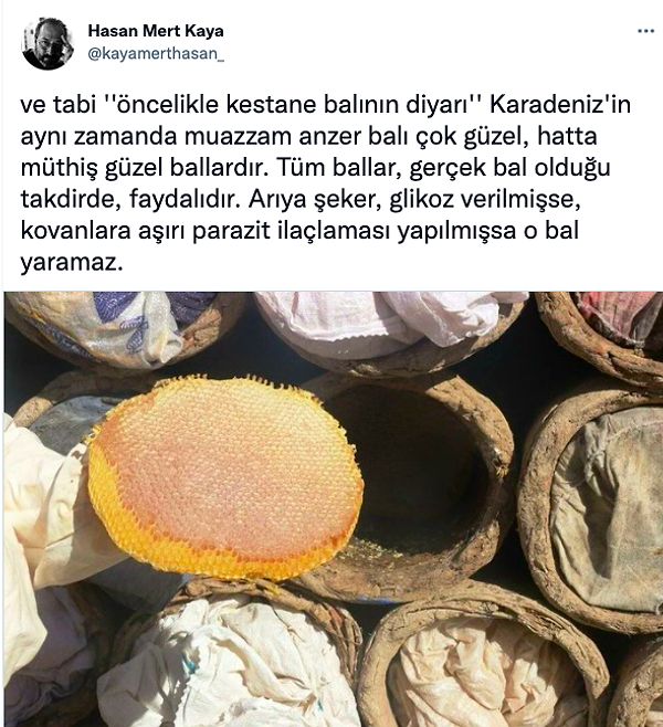 10. Öncelikle kestane balının diyarı Zonguldak'tan herkese selamlar!😂