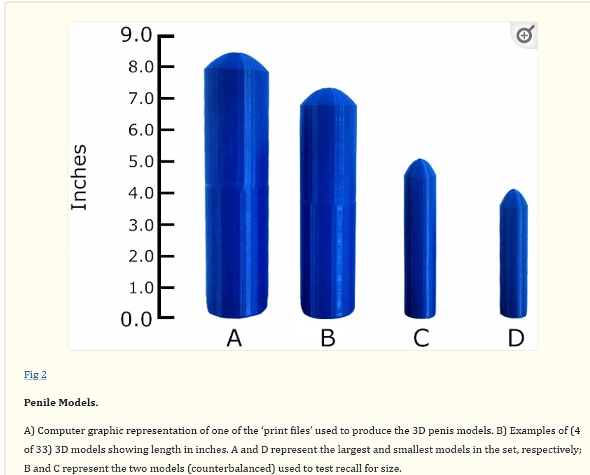 Midget Penis Size