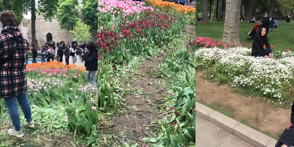 İstanbul'da Gülhane Parkı'na Giden Kişilerin Fotoğraf Çekimi İçin Çiçekleri Ezip Kopardığı Anlar Gündem Oldu