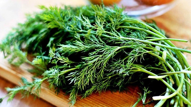 s b9766c9c5bb1ddd7daa554a56a9f35797484f4dc