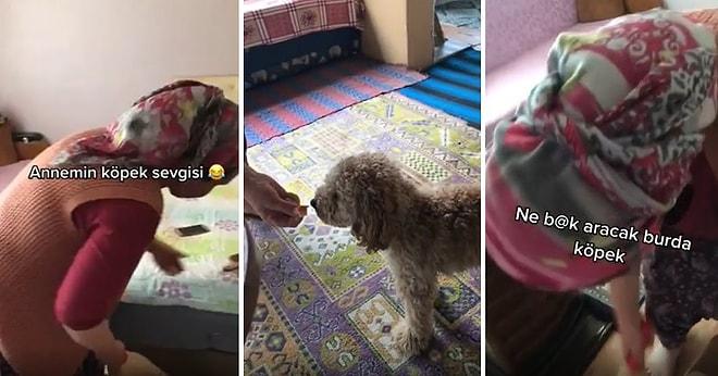 Evde Köpek İstemeyen Kadının 1 Ay Gibi Bir Sürede Köpeği Elleriyle Beslediği Muhteşem Anlar
