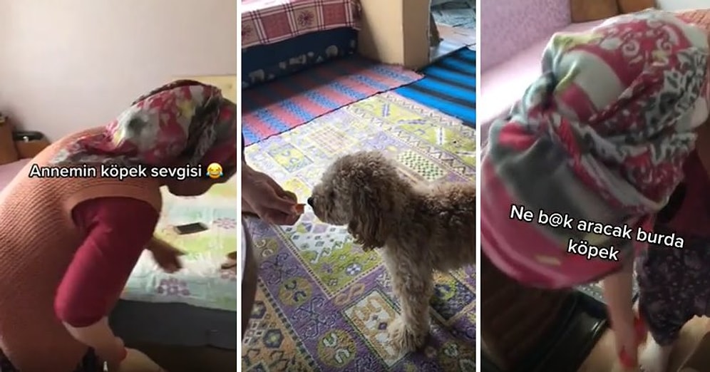 Evde Köpek İstemeyen Kadının 1 Ay Gibi Bir Sürede Köpeği Elleriyle Beslediği Muhteşem Anlar