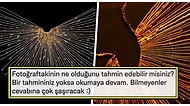 Fotoğrafta Gördüğünüz Şeyin Ne Olduğunu Öğrendikten Sonra Günlük Aydınlanma Limitinizi Dolduracaksınız