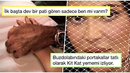 Uluslararası Mizahşörlerin Gören Herkeste Kahkaha Tufanı Yaratan Haftanın En Komik Tweetleri