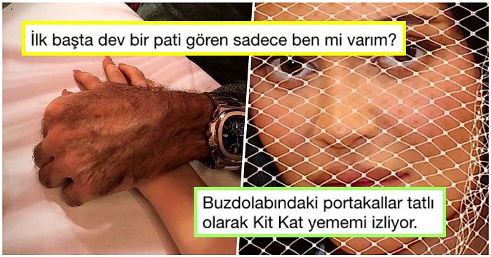 Uluslararası Mizahşörlerin Gören Herkeste Kahkaha Tufanı Yaratan Haftanın En Komik Tweetleri