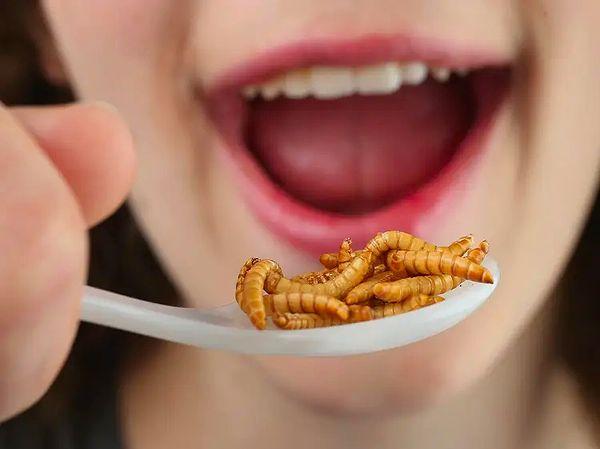 6. Yiyeceklerin bir miktar böcek içermesine izin verilir. FDA standartlarına göre, yemeğinizde olabilecek böcek izlerinin seviyesi için bir izin vardır.