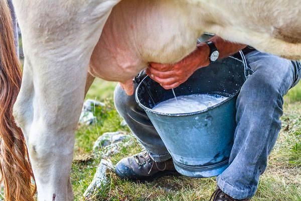 Türkiye İstatistik Kurumu(TÜİK), Mart ayı için inşaat maliyet endeksi, kümes hayvancılığı üretimi ile süt ve süt ürünleri üretimi verilerini yayımlayacak (10.00).