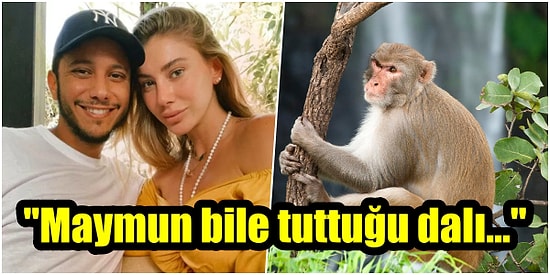 Son Dönemde Adı Birçok Kişiyle Aşk Dedikodularına Karışan Şeyma Subaşı'na Meedo'dan Olay 'Maymun' Göndermesi