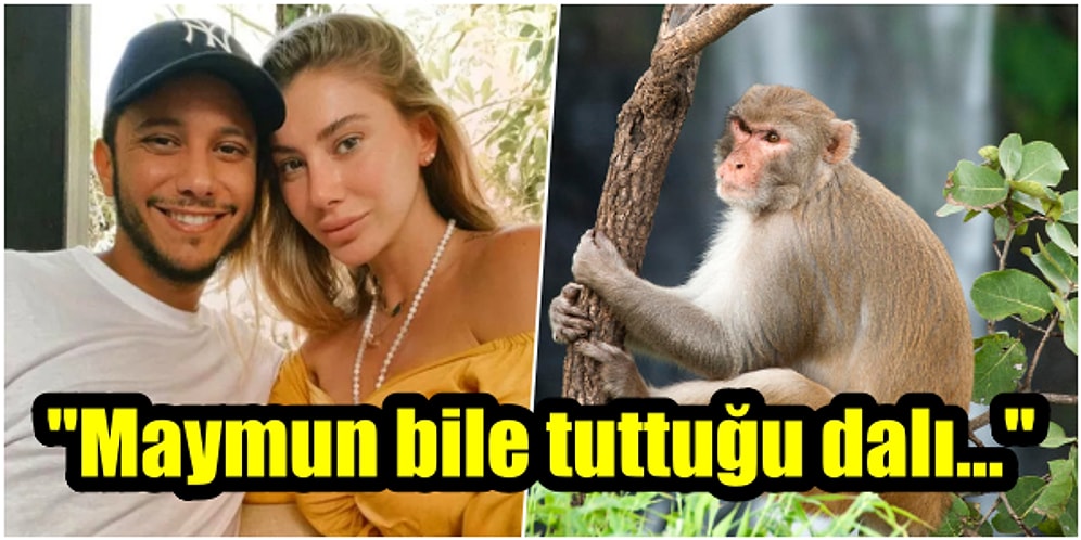 Son Dönemde Adı Birçok Kişiyle Aşk Dedikodularına Karışan Şeyma Subaşı'na Meedo'dan Olay 'Maymun' Göndermesi