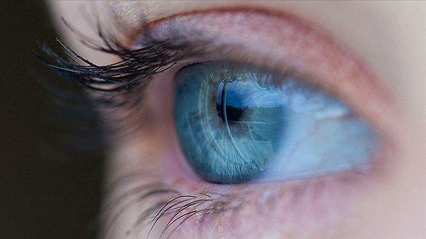 5. Gözlerinizin kendine ait bir bağışıklık sistemi vardır ve eğer vücudunuz bunu bir tehdit olarak algılarsa onunla savaşacağından gözlerinizi kaybedebilirsiniz.