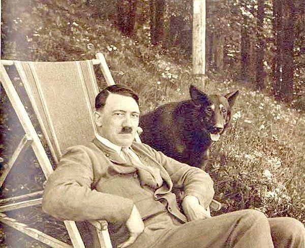 12. Hitler, 'Reich Hayvanları Koruma Yasası' adlı bir hayvan hakları yasası tasarlamış ve canlı ıstakoz ile yengeçlerin kaynatılmasını yasaklamıştır.