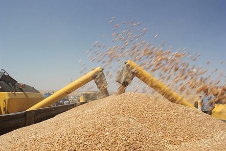 Buğday Fiyatları Yükselirken Türkiye, Hindistan'dan Buğday Aldı mı Almadı mı?