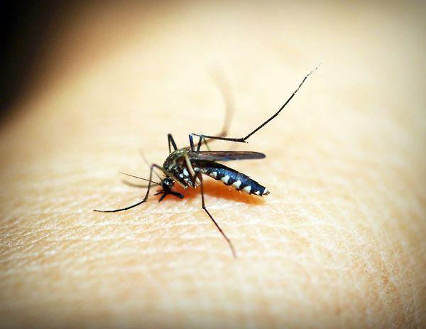 Vücudunuzda kullanmak için sivrisinek kovucu sprey tarifi: