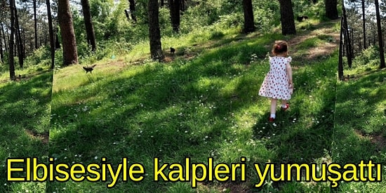 Elbisesini Kuşlara Göstermek İsteyen Küçük Kız Çocuğu Sosyal Medyaya Bahar Getirdi