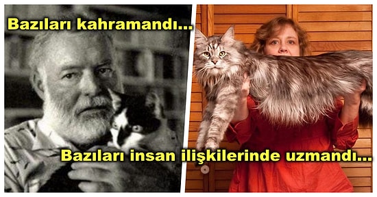 Onlar Vazgeçilmez Dostlarımız! Tarih Kitaplarına Konu Olan Tüm Zamanların En Ünlü Kedileri