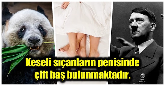 Öğrendiğiniz An Bilgi Sonsuzluğunda Kendinizi Kaybedeceğiniz Birbirinden İlginç Kültürel Gerçekler