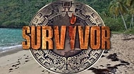 Bu Ünlülerden Hangisinin Survivor'a Katılmadığını Bulabilecek misin?