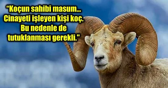 Pişman Olup Olmadığı Bilinmeyen Koça Bir Kadını Öldürdüğü Gerekçesiyle 3 Yıl Hapis Cezası Verildi!