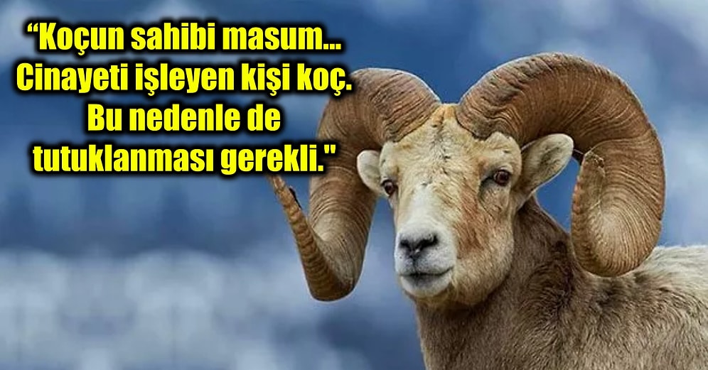 Pişman Olup Olmadığı Bilinmeyen Koça Bir Kadını Öldürdüğü Gerekçesiyle 3 Yıl Hapis Cezası Verildi!