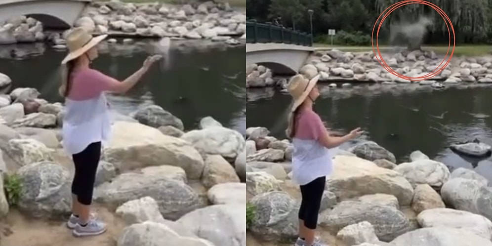 Chicago’da Yaşayan Kadının, Ölen Köpeği Biscuit'in Küllerini Göle Savururken Ortaya Çıkan Silüet Gündem Oldu