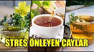 Baş Ağrısı ve Uykusuzluk ve Kaygıya Son! Hem Sakinleştiren Hem de Rahatlatıcı Özelliği Olan Bitki Çayları