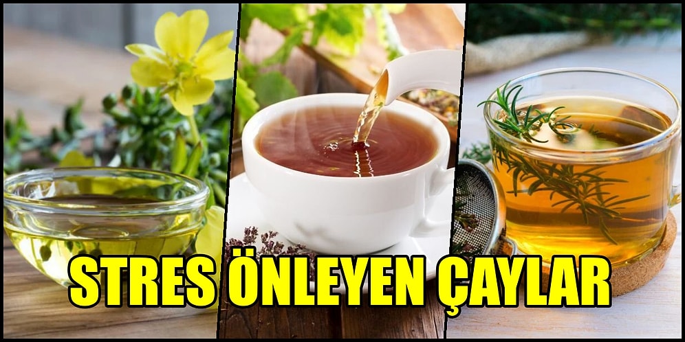 Baş Ağrısı ve Uykusuzluk ve Kaygıya Son! Hem Sakinleştiren Hem de Rahatlatıcı Özelliği Olan Bitki Çayları